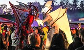 Chamaeleon, Foto: Karls Markt OHG