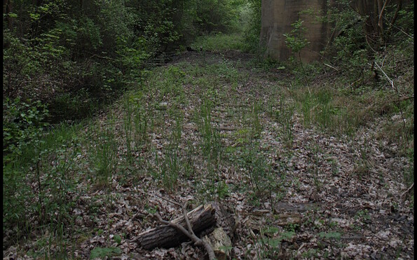 Wo es früher Gleise gab – im Umfeld des Heimkehrerlagers Gronenfelde, Foto: Karl-Konrad Tschäpe , Lizenz: Museum Viadrina
