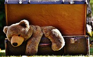 Teddy im Koffer, Foto: Pixabay, Lizenz: Pixabay