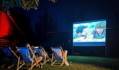 Kino unterm Sternenhimmel im Freilandmuseum Lehde , Foto: Gall, Lizenz: Museum OSL
