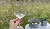 Weingut Preto, Foto: Anastasiia Kalko, Lizenz: Stadtmarketing Frankfurt (Oder)