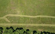 Mahd im Stadtrundgang, Foto: Markus Schwarzäugl, Lizenz: Markus Schwarzäugl