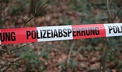 Foto:  Jeannette1980, Lizenz: pixabay