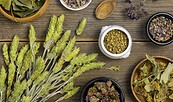 Kräuter, Foto: Freepik, Lizenz: Freepik