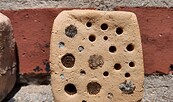 Bienenstein, Foto: Kristine Messenbrink, Lizenz: ATZ Welzow