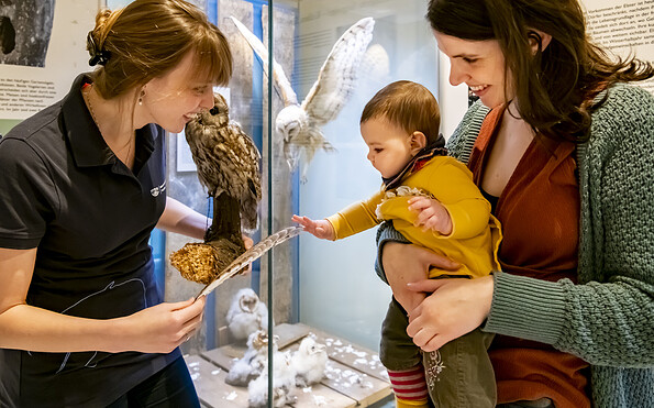 Mutter und Kind betrachten Feder und Kauz, Foto: David Marschalsky, Lizenz: Naturkundemuseum Potsdam