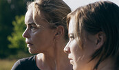 Zikaden, Foto:  © JudithKaufmann_LupaFilm, Lizenz:  © JudithKaufmann_LupaFilm