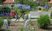 Freundschaftsinsel_Ritterspornsammlung@Freunde der Freundschaftsinsel e.V., Foto: Freunde der Freundschaftsinsel e.V., Lizenz: Freunde der Freundschaftsinsel e.V.