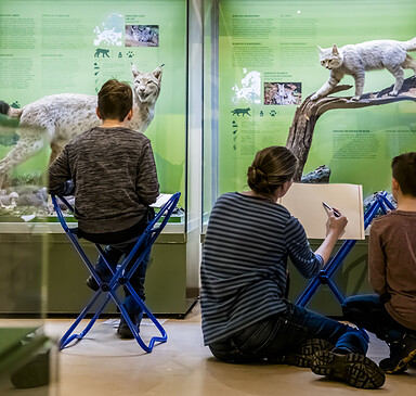 Fantastische Tierwesen und wo sie zu zeichnen sind - Kunstkurs für Kinder und Jugendliche