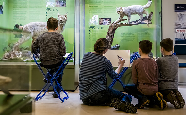 Kreativ werden vor Wildkatze und Luchs, Foto: David Marschalsky, Lizenz: Naturkundemuseum Potsdam