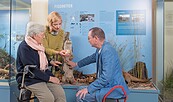 Wie und wo lebt eigentlich der Fischotter?, Foto: Nadine Quenzel, Lizenz: TMB-Fotoarchiv