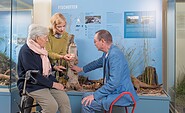 Wie und wo lebt eigentlich der Fischotter?, Foto: Nadine Quenzel, Lizenz: TMB-Fotoarchiv