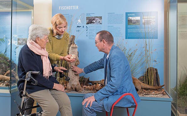 Wie und wo lebt eigentlich der Fischotter?, Foto: Nadine Quenzel, Lizenz: TMB-Fotoarchiv