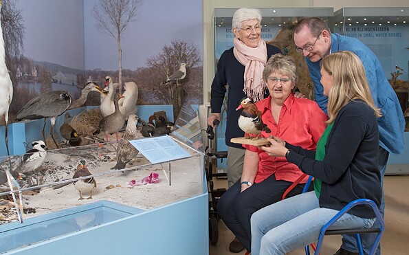 Barrierefreie Führung vor der Freidarstellung Vögeln am Wasser und dem Präparat einer Stockente , Foto: Nadine Quenzel, Lizenz: TMB-Fotoarchiv