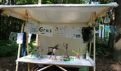 Künstlerisches Arbeiten mit und in der Natur, Foto: Annett Glöckner, Lizenz: Annett Glöckner