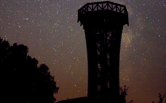 Naturführung unterm Sternenhimmel – Am Abend der Perseiden