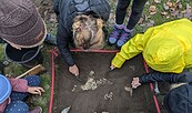 Kinder bei der Ausgrabung, Foto: Museumspädagogischer Dienst LDS, Lizenz: Museumspädagogischer Dienst LDS