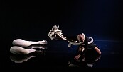 Foto: © Lucía García, Soma Projects