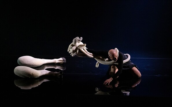 Foto: © Lucía García, Soma Projects