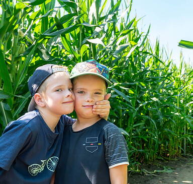 Klaistower Maislabyrinth