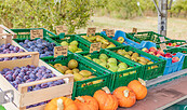 Verkaufsstand Streuobst Seiffert, Foto: M. Karnbach, Lizenz: Stadt Werder (Havel)