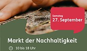 Plakat Markt der Nachhaltigkeit 2025, Foto: A. Magoltz, Lizenz: UNESCO Biosphärenreservat Spreewald