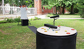 Drehlodie, Foto: Benjamin Schulte, Lizenz: Benjamin Schulte