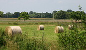 Heuballen, Foto: Stefan Lindenberg, Lizenz: Stefan Lindenberg