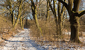 NSG Planetal im Winter, Foto: Steffen Bohl, Lizenz: Steffen Bohl