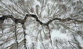 Plane von oben im Winter, Foto: Steffen Bohl, Lizenz: Steffen Bohl