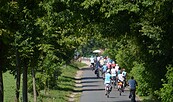 Radwandern, Foto: LFV, Lizenz: Landschafts-Förderverein Nuthe-Nieplitz-Niederung e.V.