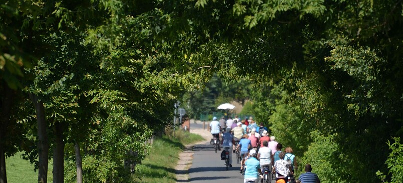 leichte Radtour durch den Naturpark Nuthe-Nieplitz