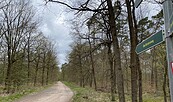 Oberförstereiweg, Foto: Stadt Erkner, Lizenz: Stadt Erkner