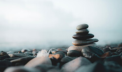 Workshop: Hormonelle Balance