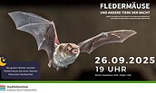 Plakat Fledermaus, Foto: Bibliothek Königs Wusterhausen