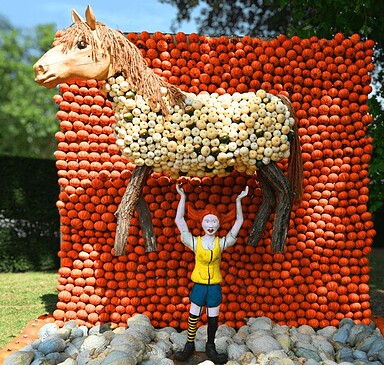 Die größte Kürbisausstellung Berlin/Brandenburgs: Power Frauen in Klaistow