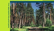 Charakteristisches Waldbild, Foto: B. Schubert, Lizenz: B. Schubert