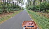 Radtour durch die Lieberoser Heide, Foto: Christiane Bramer, Lizenz:   Naturwelt Lieberoser Heide GmbH