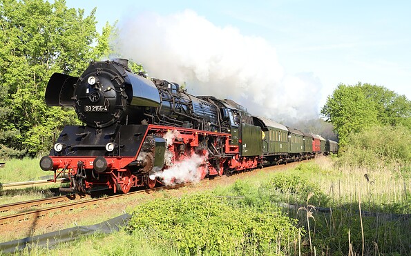 Museumszug mit Lok 03 2155, Foto: Bernd Teubner, Lizenz: Berliner Eisenbahnfreunde e. V.