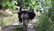 Eselwanderung, Foto: Anja Emrich, Lizenz: Landschafts-Förderverein Nuthe-Nieplitz-Niederung e.V.