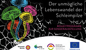 Schleimpilze, Foto: Jeannine Schneider, Lizenz: Gemeinde Wandlitz