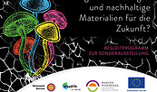 Pilze im Fokus, Foto: Jeannine Schneider, Lizenz: Gemeinde Wandlitz