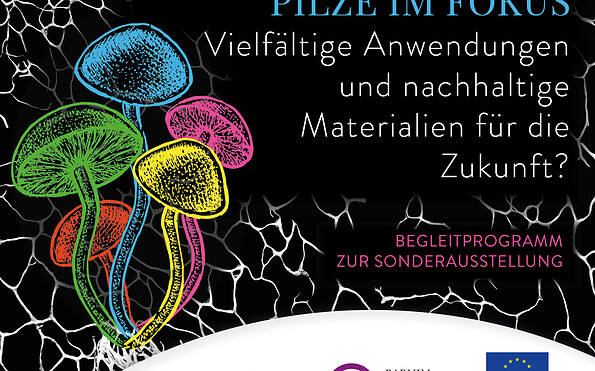 Pilze im Fokus, Foto: Jeannine Schneider, Lizenz: Gemeinde Wandlitz