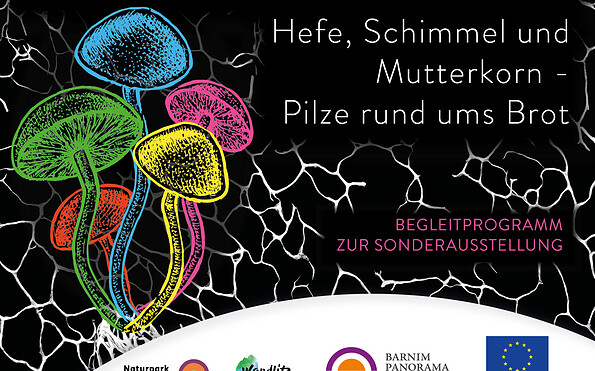 Von guten und bösen Pilzen, Foto: Jeannine Schneider, Lizenz: Gemeinde Wandlitz