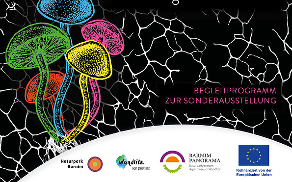 Lesung, Foto: Jeannine Schneider, Lizenz: Gemeinde Wandlitz