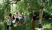 Kräuterwanderung Berlin , Foto: Sven Nyga, Lizenz: Stefanie Görisch