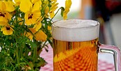Oktoberfest, Foto: pixabay.de, Lizenz: pixabay.de