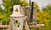 Foto: McRonny, Lizenz: pixabay