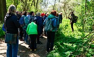 Oder an der Europabrücke, Foto: Bernd Müller, Lizenz: NaturFreunde Oberbarnim e.V.