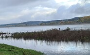Oder an der Europabrücke, Foto: Bernd Müller, Lizenz: NaturFreunde Oberbarnim e.V.